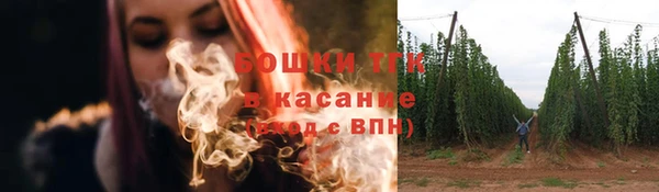 твердый Аркадак