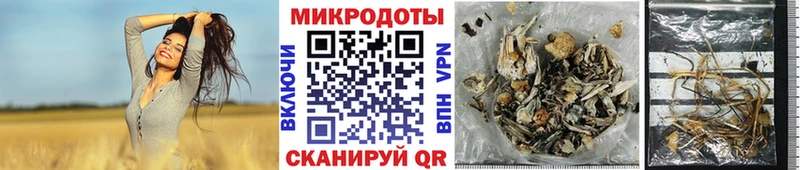 Псилоцибиновые грибы MAGIC MUSHROOMS  что такое   Почеп 